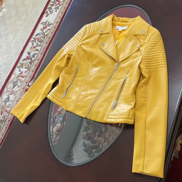 Jacket - Picture 9 of 15